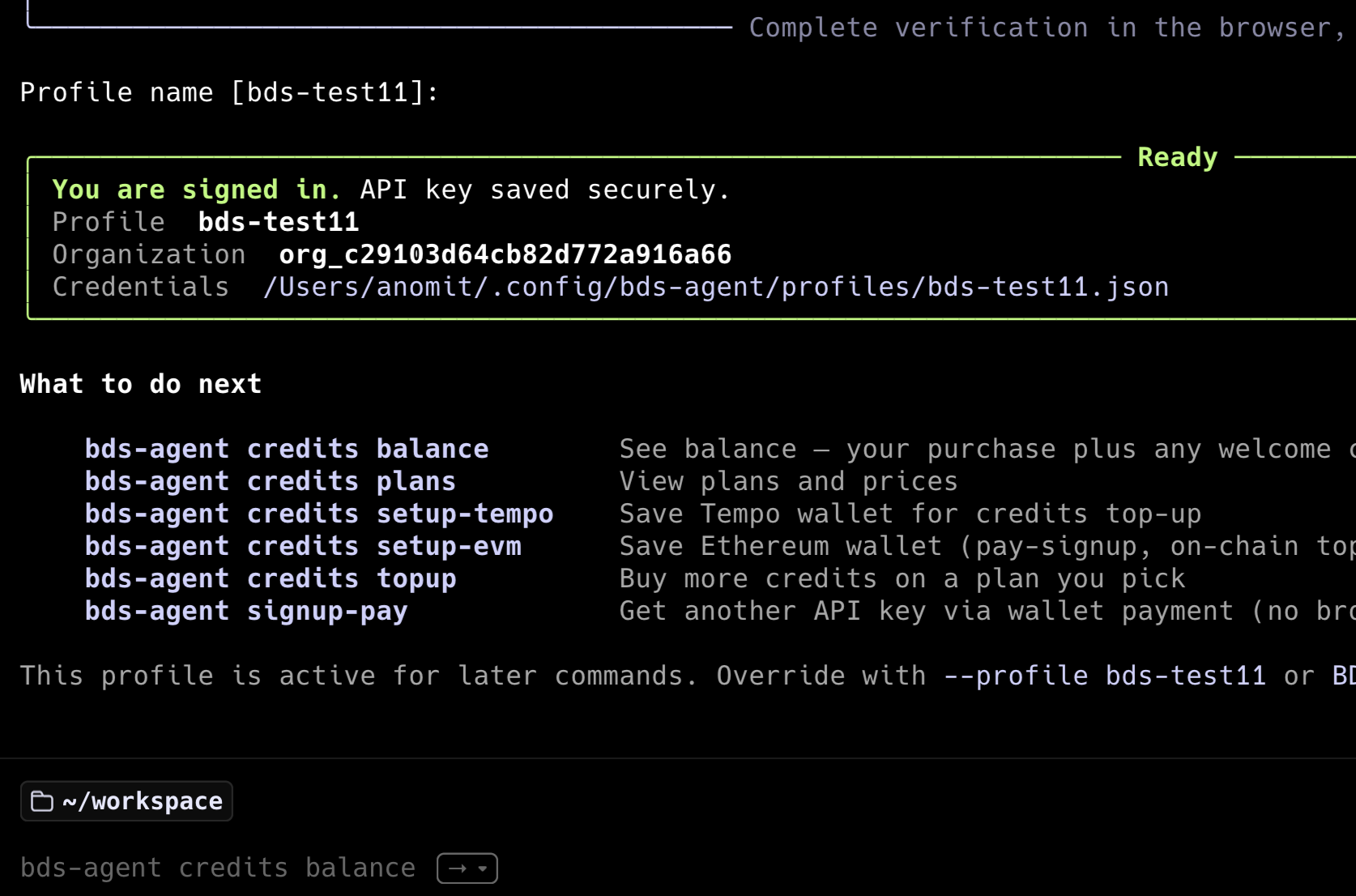 Step 2: CLI signup complete — API key saved to profile