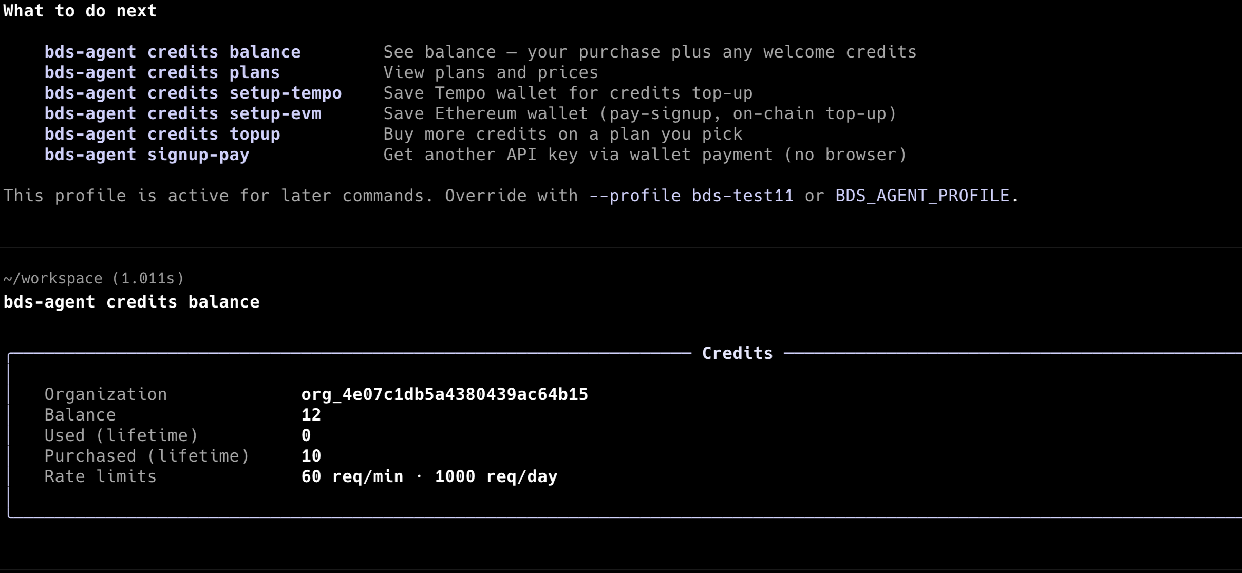 Example of balance check