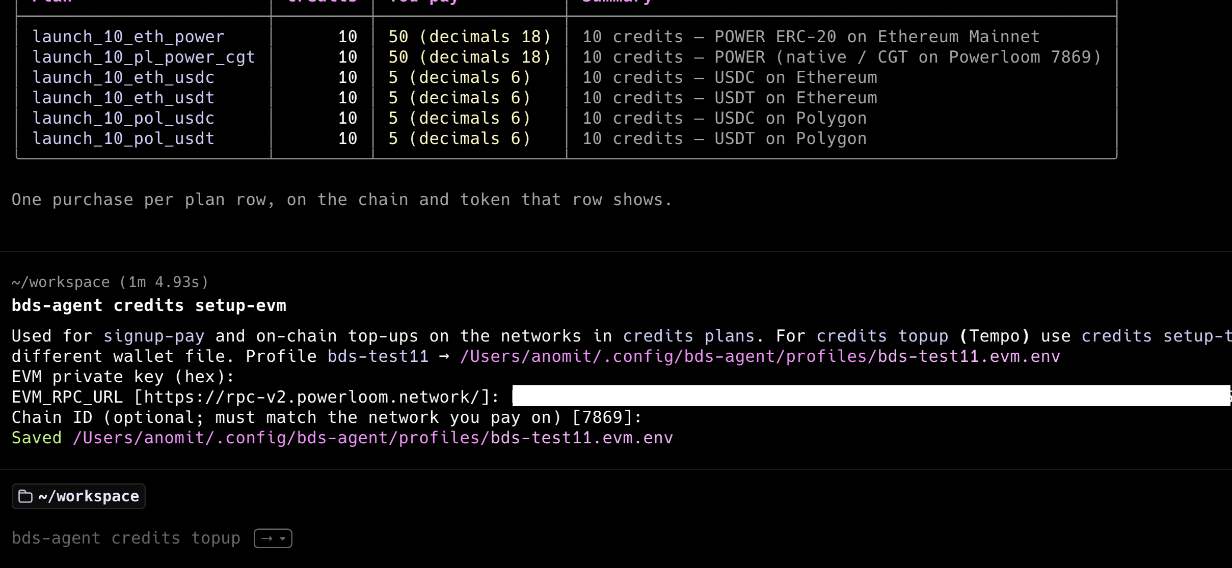 Example of setup-evm step