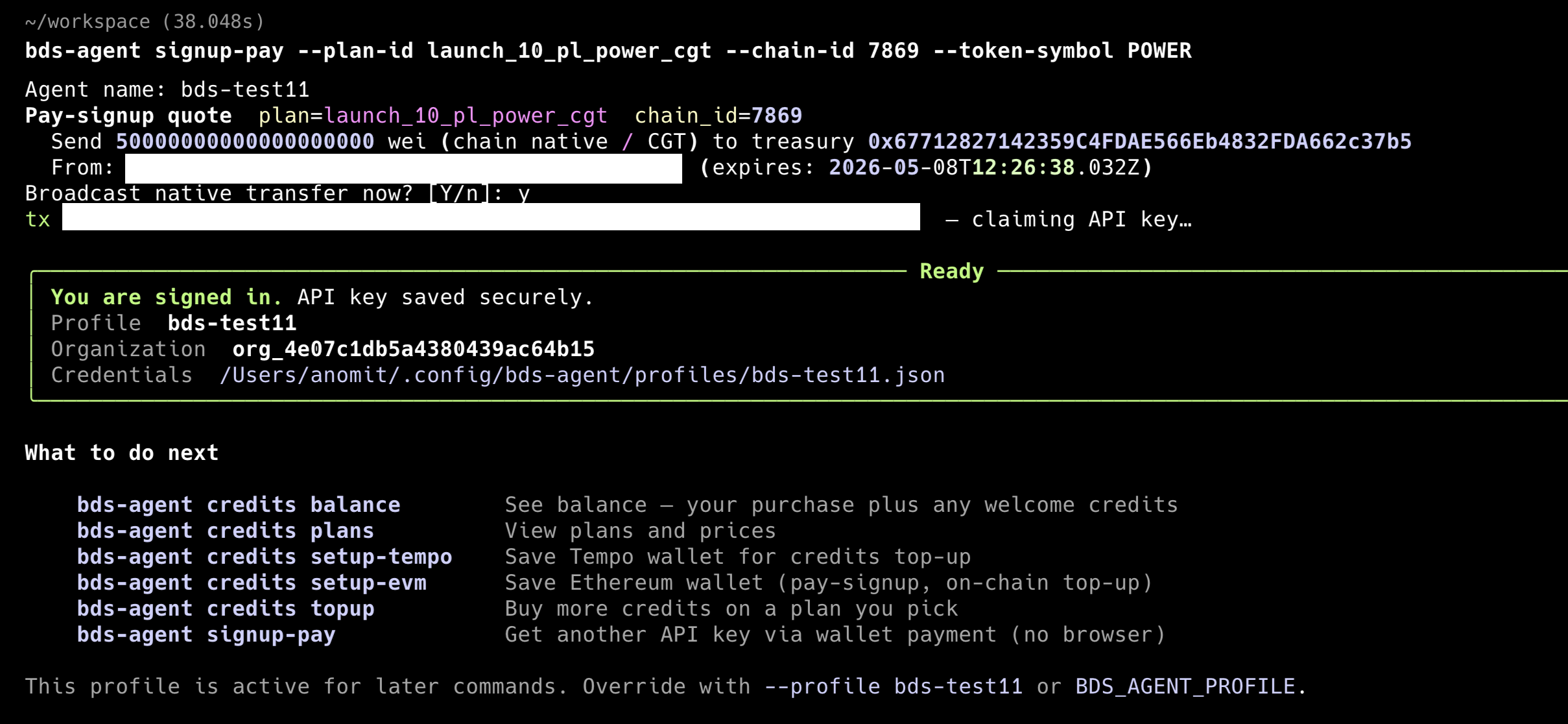 Example of signup-pay step