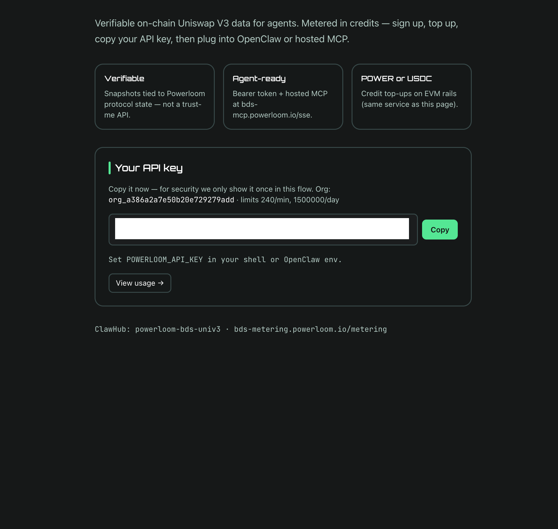 API key delivered — copy it now, shown only once in this flow